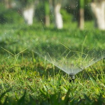 sprinkler