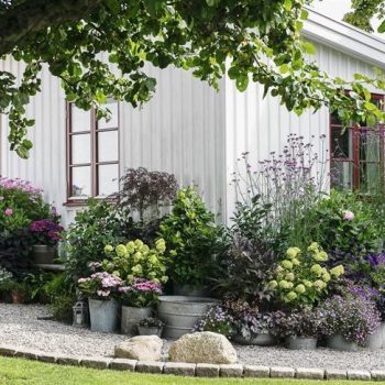white_garden_house